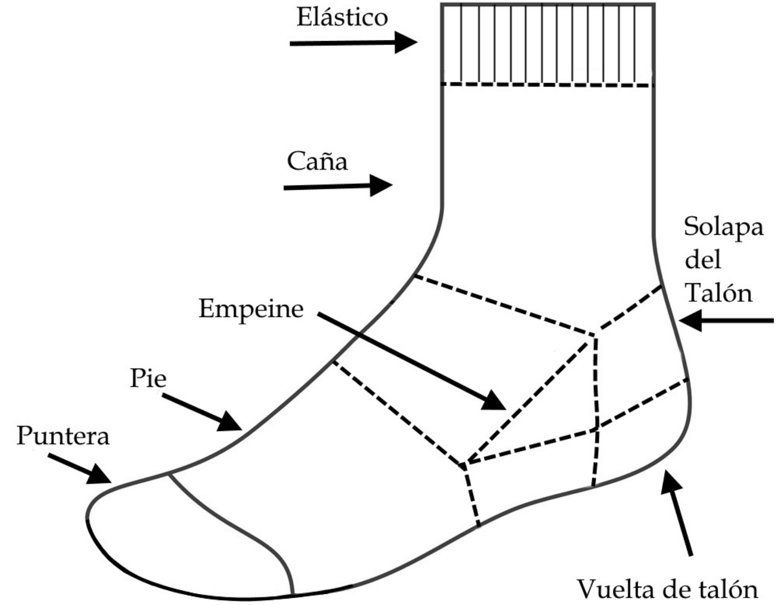 Anatomía de un calcetín